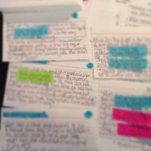 WIP2 Writing Revision